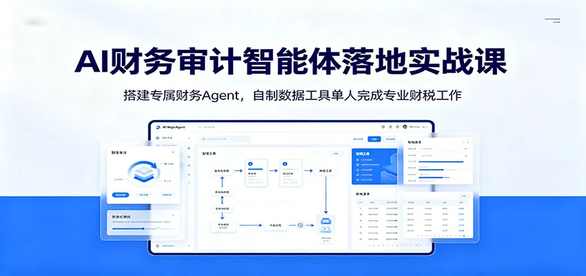 AI财务审计智能体落地实战课：搭建专属财务Agent，自制数据工具单人完成专业财税工作-e家网