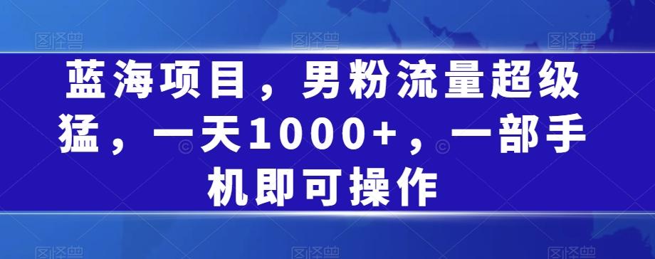 蓝海项目，男粉流量超级猛，一天1000+，一部手机即可操作【揭秘】-E家云商