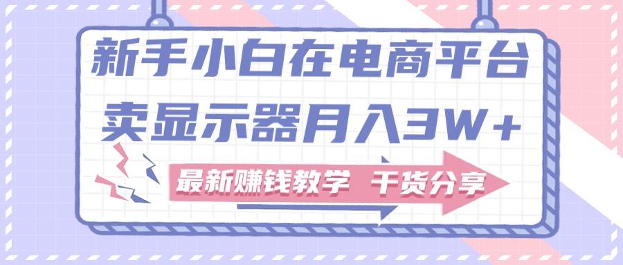 新手小白如何做到在电商平台卖显示器月入3W+，最新赚钱教学干货分享-E家云商