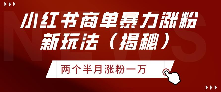小红书商单暴力涨粉新玩法两个半月涨粉一万（揭秘）-e家网