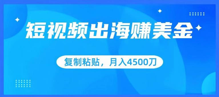 短视频出海赚美金，复制粘贴批量操作，小白轻松掌握，月入4500美刀【揭秘】-E家云商