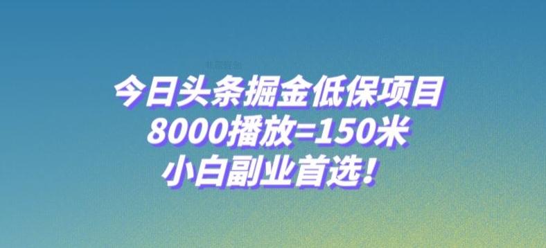 今日头条掘金低保项目，8000播放=150米，小白副业首选【揭秘】-E家云商