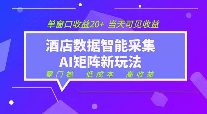 2026酒店数据采集ai智能矩阵新风口 低成本 高收益 当天见收益 单窗口20+-e家网