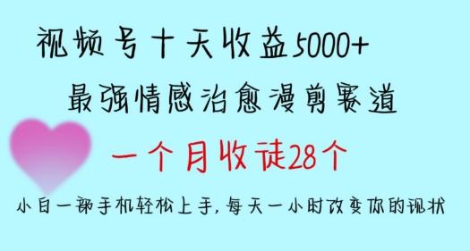 十天收益5000+，多平台捞金，视频号情感治愈漫剪，一个月收徒28个，小白一部手机轻松上手【揭秘】-E家云商