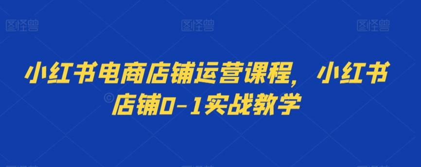 小红书电商店铺运营课程，小红书店铺0-1实战教学-E家云商
