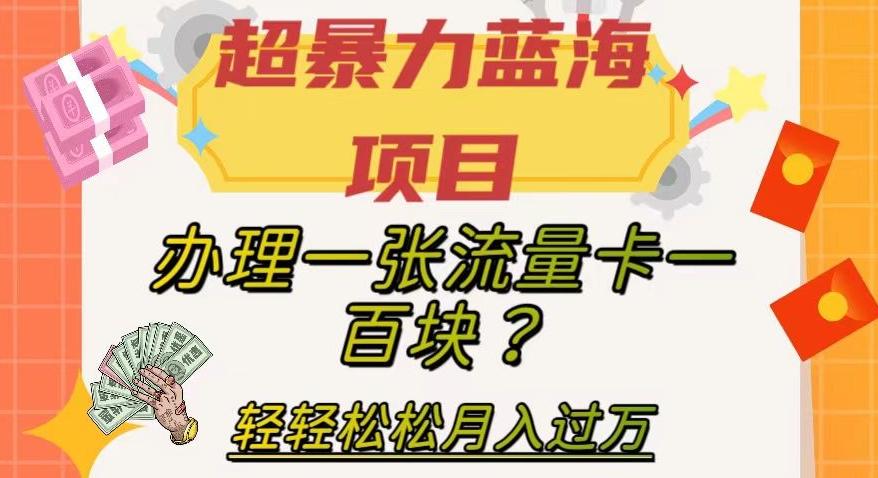 超暴力蓝海项目，办理一张流量卡一百块？轻轻松松月入过万，保姆级教程【揭秘】-E家云商