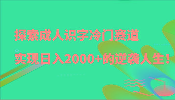 探索成人识字冷门赛道，实现日入2000+的逆袭人生！-E家云商