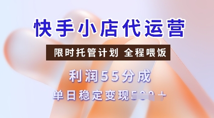 快手小店代运营，限时托管计划，收益55分，单日稳定变现多张【揭秘】-E家云商