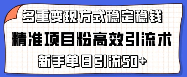 精准项目粉高效引流术，新手单日引流50+，多重变现方式稳定赚钱【揭秘】-E家云商