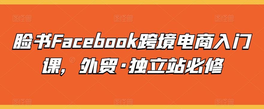 脸书Facebook跨境电商入门课，外贸·独立站必修-E家云商