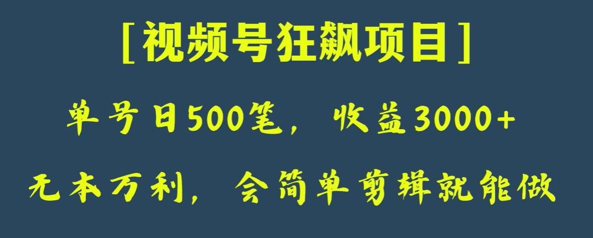 日收款500笔，纯利润3000+，视频号狂飙项目，会简单剪辑就能做【揭秘】-E家云商