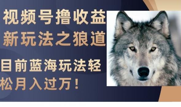 视频号撸收益新玩法之狼道，目前蓝海玩法，轻松月入过万【揭秘】-E家云商