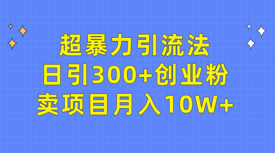 (9954期)超暴力引流法，日引300+创业粉，卖项目月入10W+-E家云商