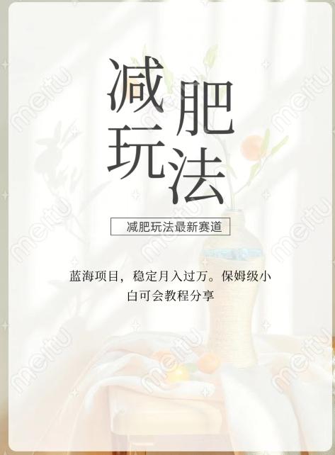 减肥流量主新玩法，轻松月入1W，可矩阵操作收入翻倍-E家云商