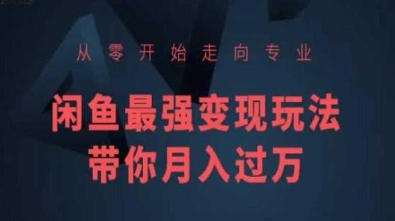 从零开始走向专业，闲鱼最强变现玩法带你月入过万-E家云商
