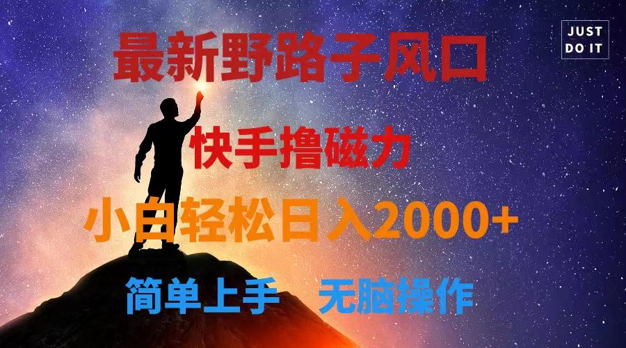 最新风口！快手撸磁力，野路子，小白无脑操作日入2000+-E家云商