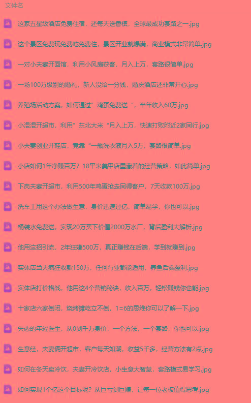 图片[2]-(9607期)真实有效391套商业模式，年入几十到几百万案例解析(电子书+视频+图文)-E家云商