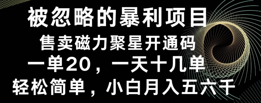 被忽略的暴利项目！售卖磁力聚星开通码，一单20，一天十几单，轻松月入五六千-w 刷的