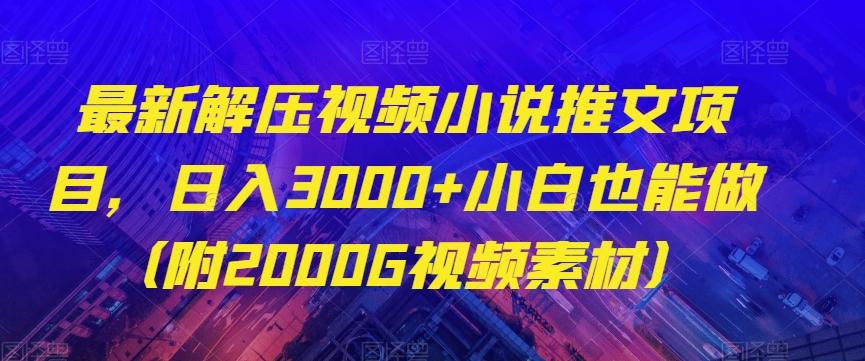 最新解压视频小说推文项目，日入3000+小白也能做（附2000G视频素材）【揭秘】-E家云商