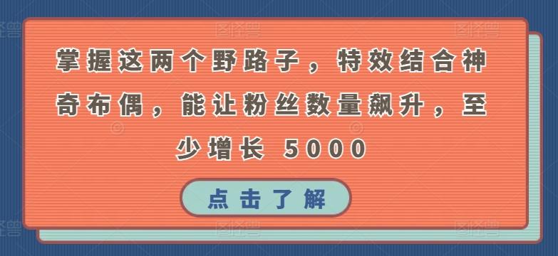 掌握这两个野路子，特效结合神奇布偶，能让粉丝数量飙升，至少增长 5000【揭秘】-E家云商