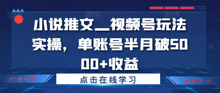 小说推文—视频号玩法实操，单账号半月破5000+收益-E家云商