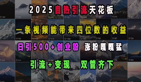 2025自热引流天花板，一条视频能带来四位数的收益，引流+变现双管齐下，日引500+创业粉，涨粉嘎嘎猛-E家云商