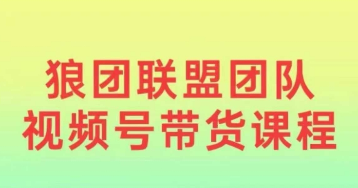 狼团联盟2024视频号带货，0基础小白快速入局视频号-E家云商