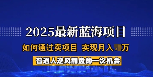 2025蓝海项目，普通人如何通过卖项目，实现月入过W，全过程【揭秘】-E家云商