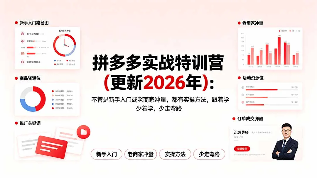 拼多多实战特训营(更新2026年-e家网