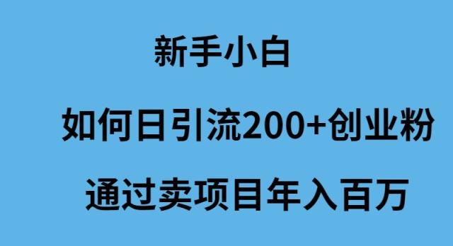 (9668期)新手小白如何日引流200+创业粉通过卖项目年入百万-E家云商