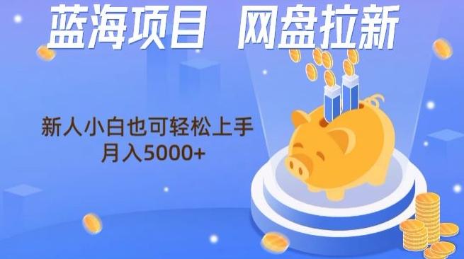 蓝海项目网盘拉新，新人小白也可操作，每月收入5000+-w 刷的