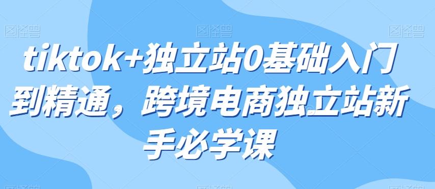 tiktok+独立站0基础入门到精通，跨境电商独立站新手必学课-E家云商