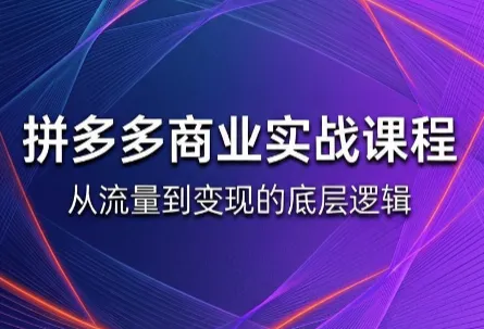 缥缈·2026拼多多课程(更新6月)-e家网