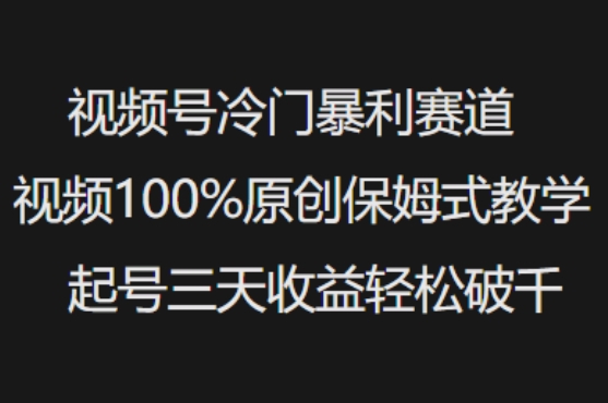 视频号冷门暴利赛道视频100%原创保姆式教学起号三天收益轻松破千-E家云商
