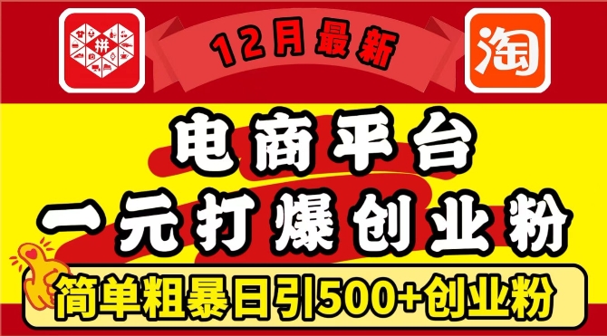 12月最新：电商平台1元打爆创业粉，简单粗暴日引500+精准创业粉，轻松月入过W【揭秘】-E家云商