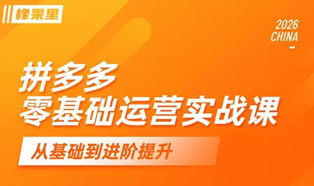 仙道电商·拼多多零基础运营实战课-e家网
