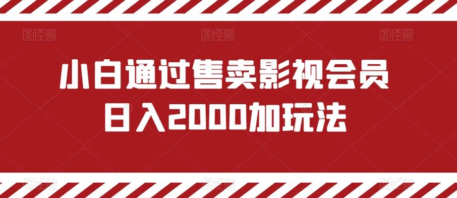 小白通过售卖影视会员日入2000加玩法-E家云商