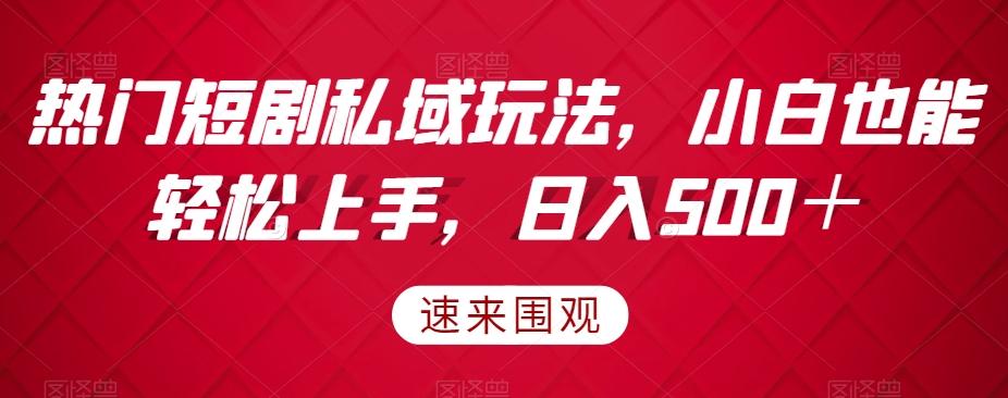 热门短剧私域玩法，小白也能轻松上手，日入500＋-E家云商