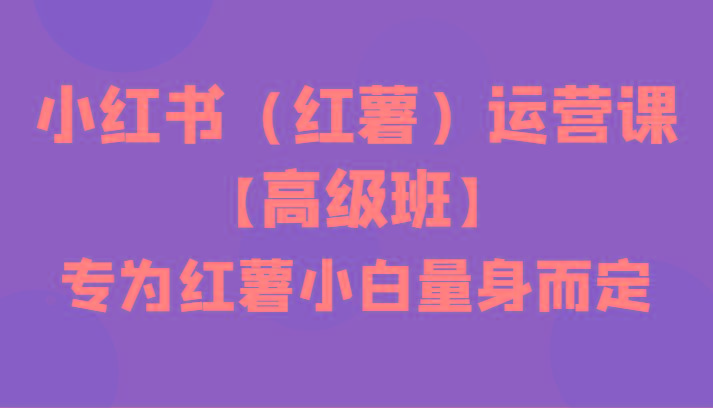 小红书(红薯)运营课【高级班】，专为红薯小白量身而定(42节课)-e家网