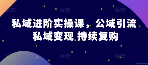 私域进阶实操课，公域引流 私域变现 持续复购-E家云商