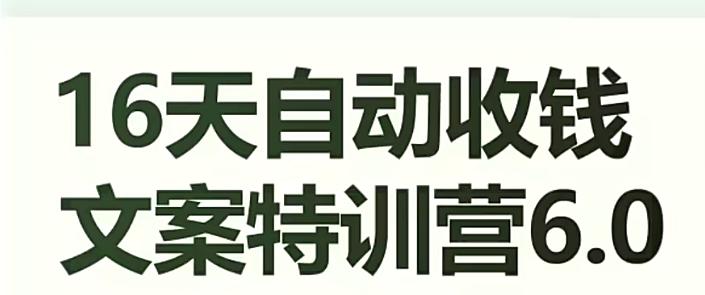 16天自动收钱文案特训营6.0，学会儿每天自动咔咔收钱-E家云商
