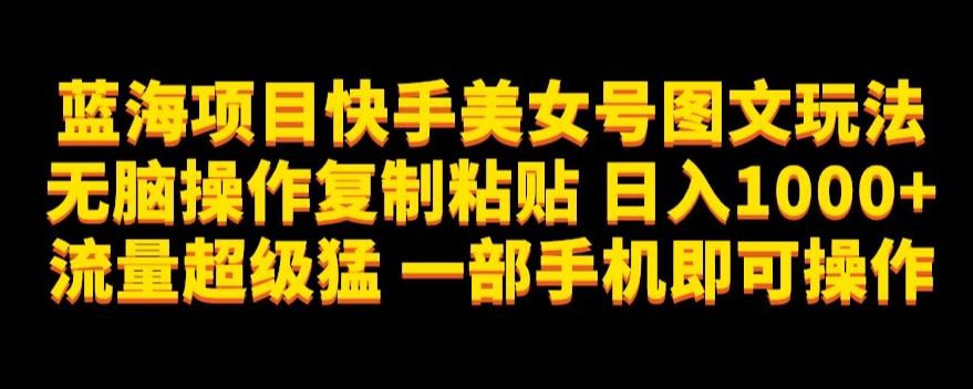蓝海项目快手美女号图文玩法，无脑操作复制粘贴，日入1000+流量超级猛一部手机即可操作【揭秘】-E家云商
