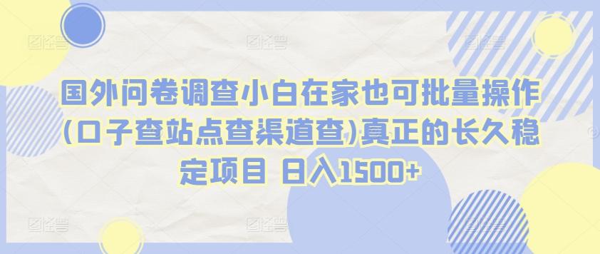 国外问卷调查小白在家也可批量操作(口子查站点查渠道查)真正的长久稳定项目 日入1500+【揭秘】-E家云商
