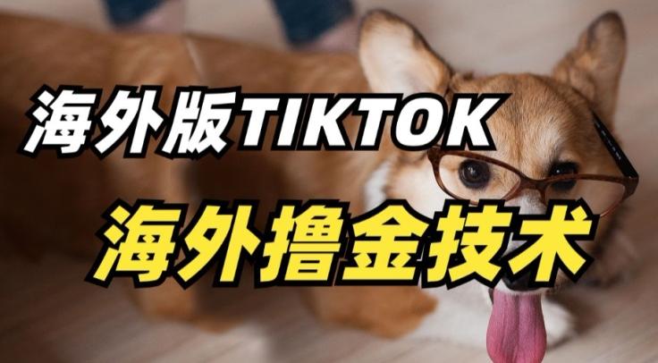抖音海外版tiktok撸金技术，这个风口行业，赚钱真的不难【揭秘】-E家云商