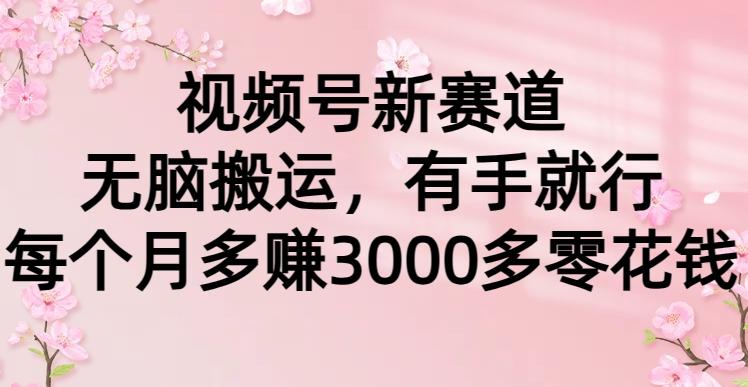 (9278期)视频号新赛道，无脑搬运，有手就行，每个月多赚3000多零花钱-E家云商