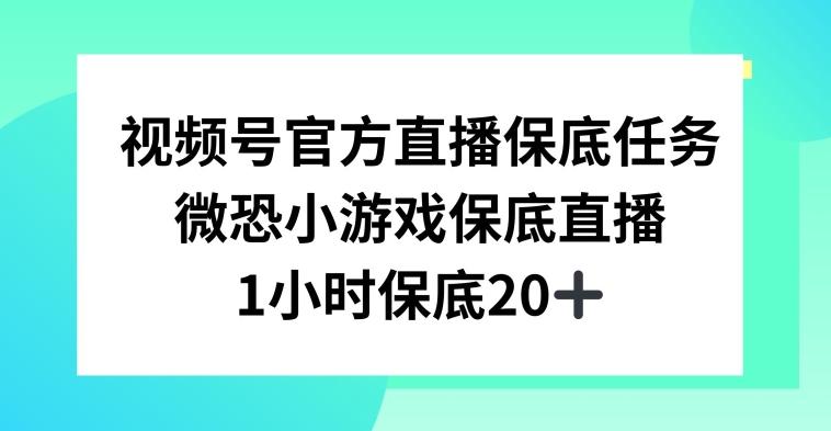 视频号直播任务，微恐小游戏，1小时20+【揭秘】-E家云商