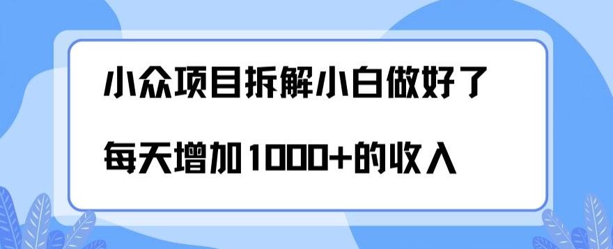 小众项目拆解，小白做好了每天可增加1000多的收入-E家云商