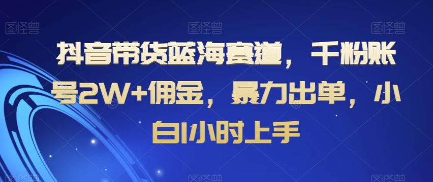 抖音带货蓝海赛道，千粉账号2W+佣金，暴力出单，小白1小时上手【揭秘】-E家云商