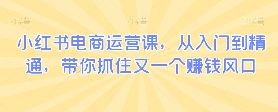 小红书电商运营课，从入门到精通，带你抓住又一个赚钱风口-E家云商