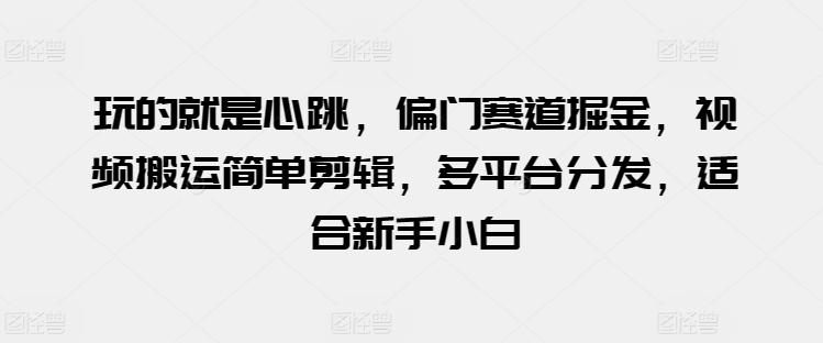 玩的就是心跳，偏门赛道掘金，视频搬运简单剪辑，多平台分发，适合新手小白【揭秘】-E家云商